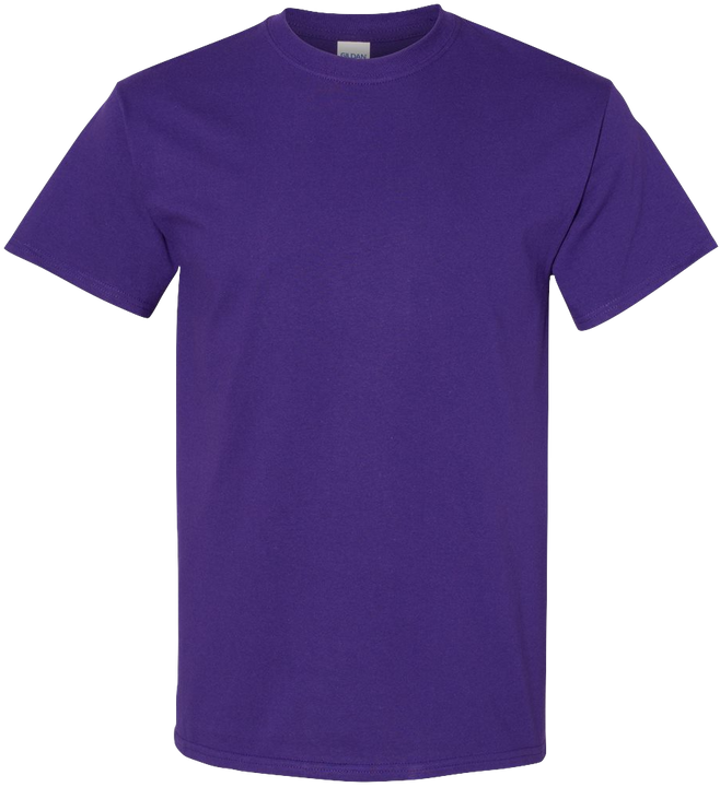 Gildan Heavy Cotton 2 (G5000)