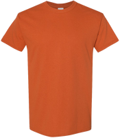 Gildan Heavy Cotton (G5000)