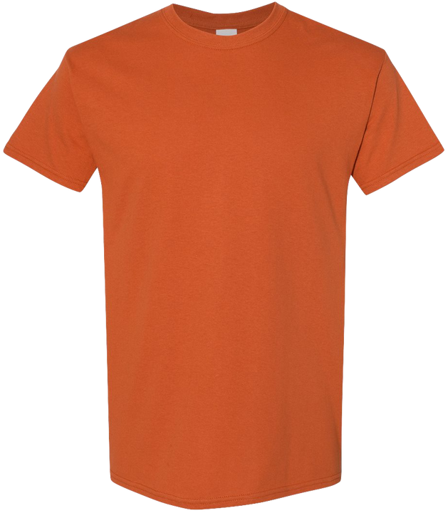 Gildan Heavy Cotton (G5000)
