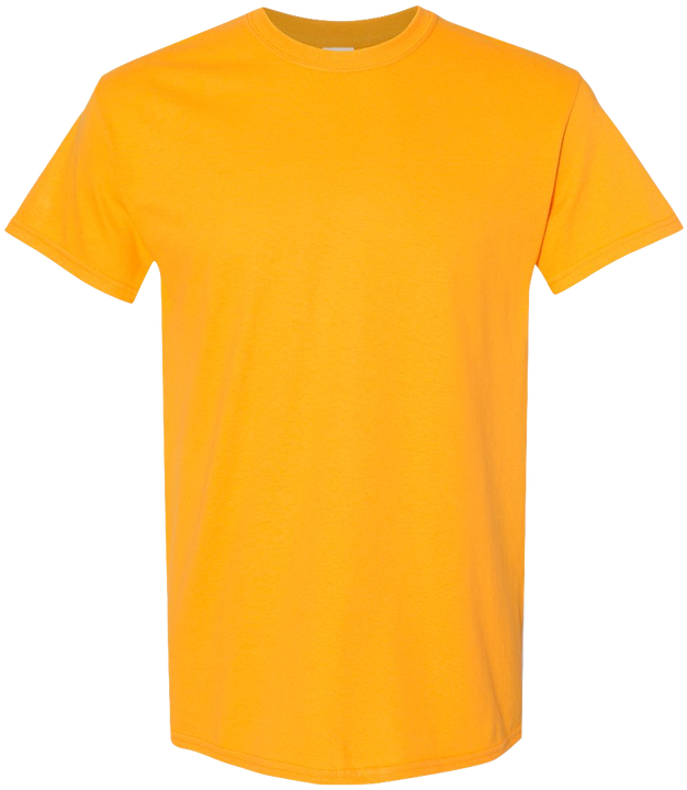 Gildan Heavy Cotton (G5000)