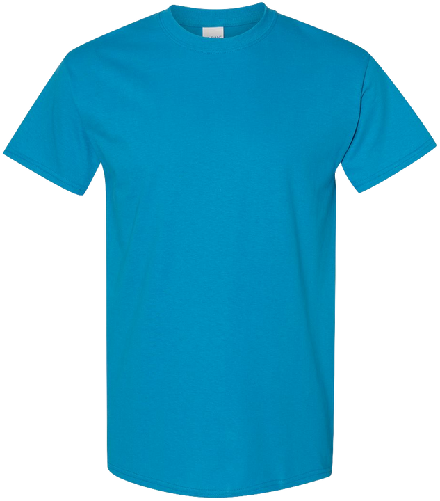 Gildan Heavy Cotton 2 (G5000)