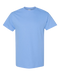 Carolina Blue